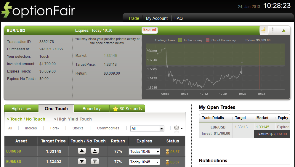 Successful Trade on Jan 24, 2013 EURUSD